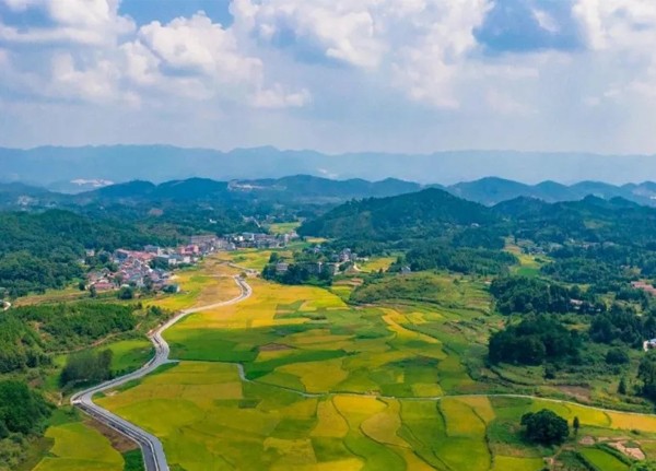 加快建設(shè)農(nóng)業(yè)強(qiáng)國(guó)，新儀持續(xù)注入力量！